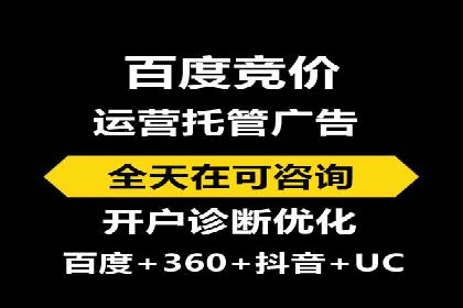 行业领先企业的SEM服务托管策略案例